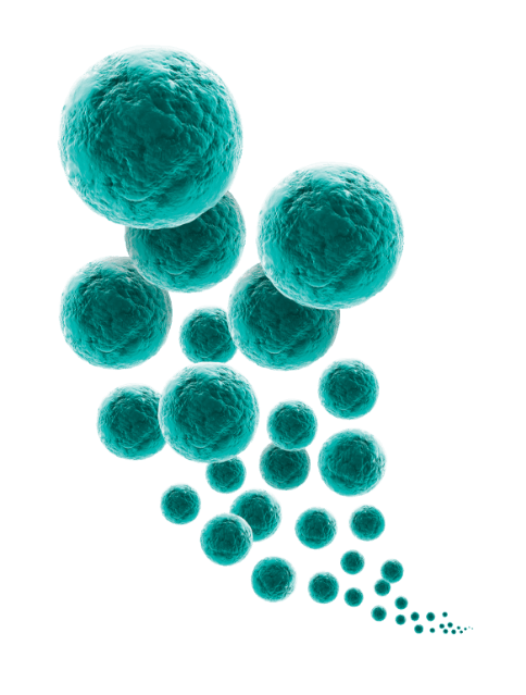 ZILRETTA microsphere technology illustration